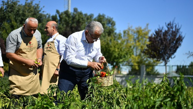 BAŞKAN BÜYÜKKILIÇ, ORGANİK ÜRÜNLERİ ELLERİYLE TOPLADI, YEMEK PİŞİRDİ